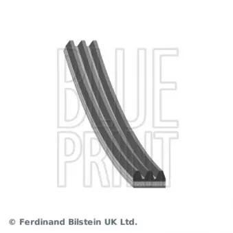 Courroie trapézoïdale à nervures BLUE PRINT OEM AJ84229