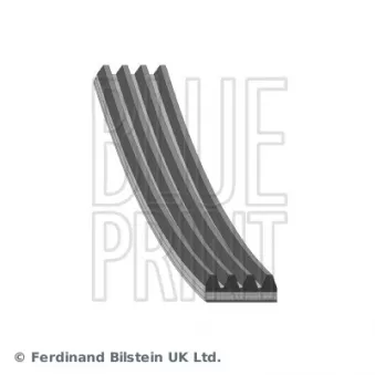 Courroie trapézoïdale à nervures BLUE PRINT OEM MB3C715907C