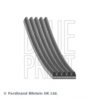 Courroie trapézoïdale à nervures BLUE PRINT OEM FS1115907A