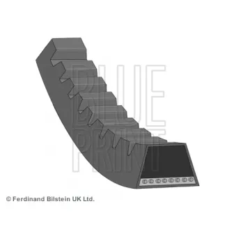 Courroie trapézoïdale BLUE PRINT OEM 1172069t01