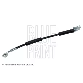 Flexible de frein avant droit BLUE PRINT OEM 52006470