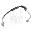 BLUE PRINT ADA105318 - Flexible de frein avant droit