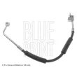 BLUE PRINT ADA105319 - Flexible de frein avant gauche