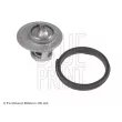 BLUE PRINT ADA109210C - Thermostat d'eau
