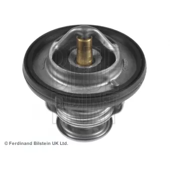 Thermostat d'eau BLUE PRINT ADA109213