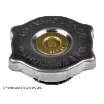 Bouchon, réservoir de liquide de refroidissement BLUE PRINT OEM 55116901AA