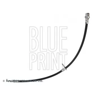 BLUE PRINT ADBP530019 - Flexible de frein avant droit