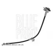 BLUE PRINT ADBP530028 - Flexible de frein avant droit