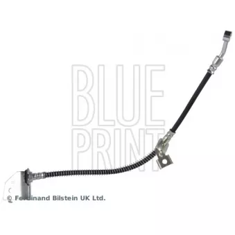 BLUE PRINT ADBP530029 - Flexible de frein avant droit