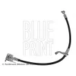 BLUE PRINT ADBP530031 - Flexible de frein avant droit