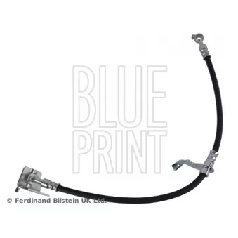 BLUE PRINT ADBP530031 - Flexible de frein avant droit