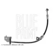 BLUE PRINT ADBP530032 - Flexible de frein avant gauche