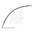 BLUE PRINT ADBP530038 - Flexible de frein avant droit