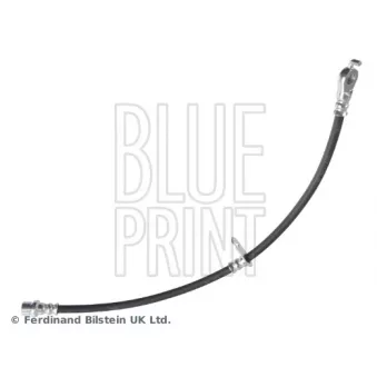 BLUE PRINT ADBP530039 - Flexible de frein avant gauche