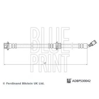 BLUE PRINT ADBP530042 - Flexible de frein avant gauche