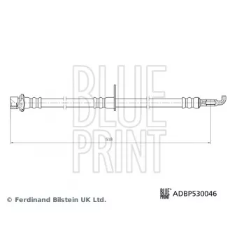 BLUE PRINT ADBP530046 - Flexible de frein arrière droit