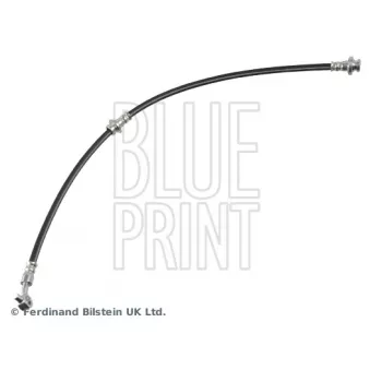 BLUE PRINT ADBP530053 - Flexible de frein avant gauche