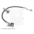 Flexible de frein avant gauche BLUE PRINT [ADBP530060]