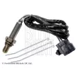 BLUE PRINT ADBP700092 - Sonde lambda
