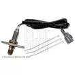 BLUE PRINT ADBP700094 - Sonde lambda