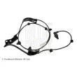 Capteur, vitesse de roue avant droit BLUE PRINT [ADBP710068]