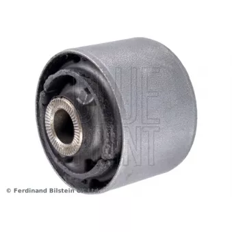 Silent bloc de suspension (train arrière) BLUE PRINT ADBP800044