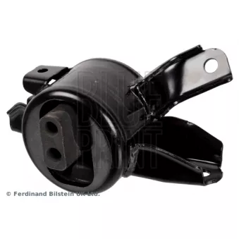 BLUE PRINT ADBP800113 - Support moteur avant gauche