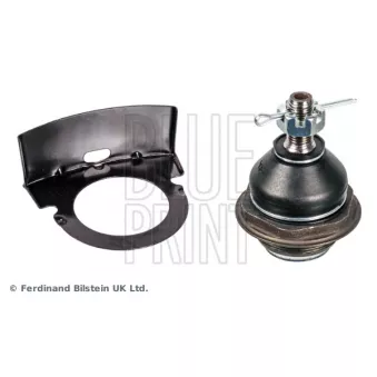 Rotule de suspension BLUE PRINT OEM 517602R000