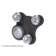 BLUE PRINT ADBP860086 - Rotule de suspension avant gauche