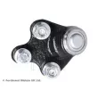 BLUE PRINT ADBP860113 - Rotule de suspension