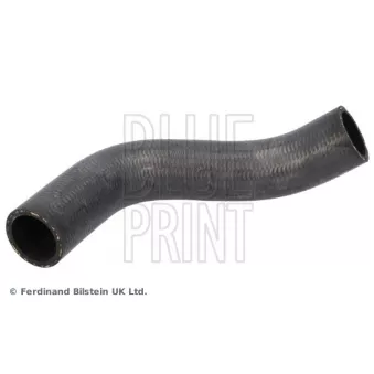 Durite de radiateur BLUE PRINT ADBP930020