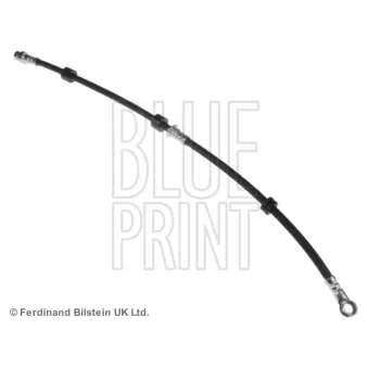 BLUE PRINT ADC453107 - Flexible de frein avant gauche