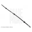 BLUE PRINT ADC45397 - Flexible de frein avant droit