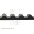 BLUE PRINT ADC47503 - Courroie crantée