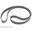 Courroie crantée BLUE PRINT [ADC47538]