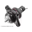 BLUE PRINT ADC48608 - Rotule de suspension