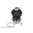 BLUE PRINT ADC48613 - Rotule de suspension