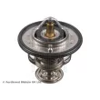 BLUE PRINT ADC49205 - Thermostat d'eau