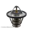 BLUE PRINT ADC49206 - Thermostat d'eau