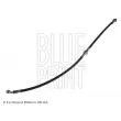 BLUE PRINT ADD65345 - Flexible de frein