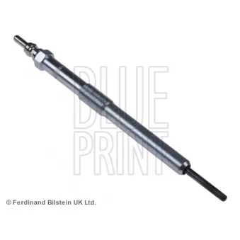 Bougie de préchauffage BLUE PRINT OEM 6641590001