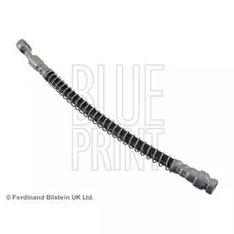 BLUE PRINT ADG053117 - Flexible de frein