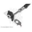 BLUE PRINT ADG053207 - Flexible de frein avant gauche