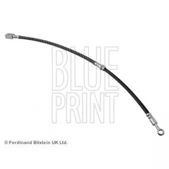 Flexible de frein avant gauche BLUE PRINT ADG053247