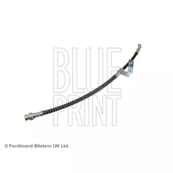 BLUE PRINT ADG05329 - Flexible de frein avant gauche