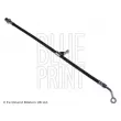BLUE PRINT ADG053290 - Flexible de frein arrière droit