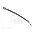 BLUE PRINT ADG053299 - Flexible de frein avant droit