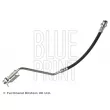 BLUE PRINT ADG053304 - Flexible de frein arrière droit