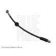 BLUE PRINT ADG053313 - Flexible de frein avant droit
