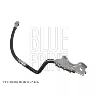 BLUE PRINT ADG053319 - Flexible de frein arrière droit